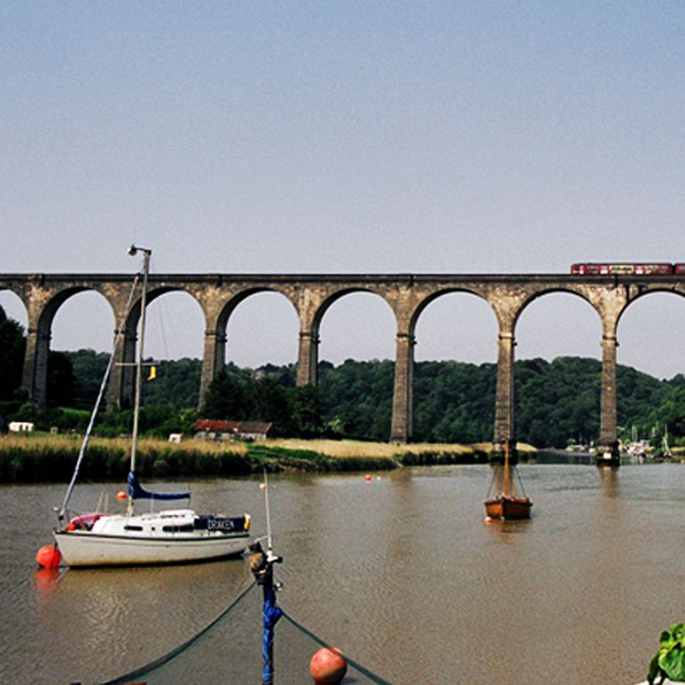 Calstock Cruise Image